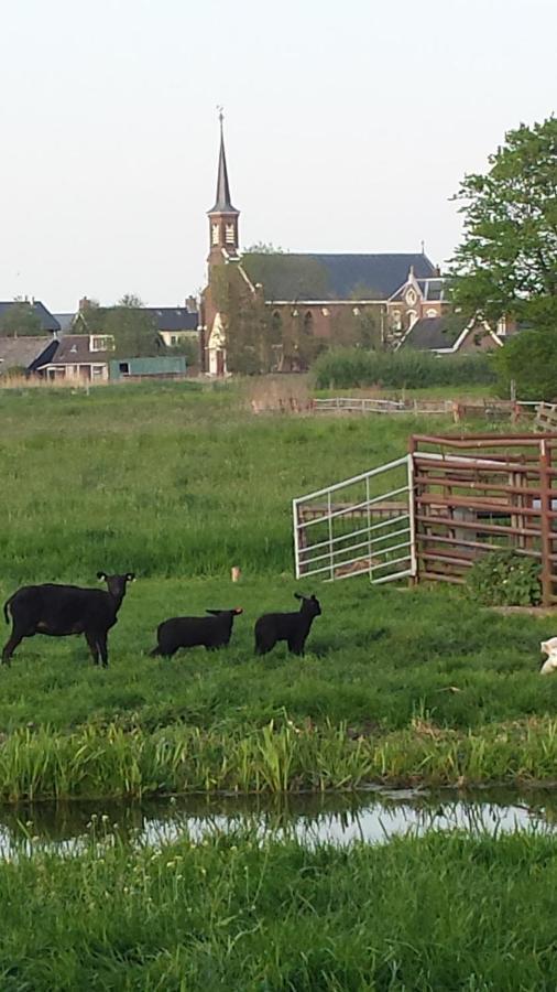 Het Kraaienbosch Zegveld Exterior foto