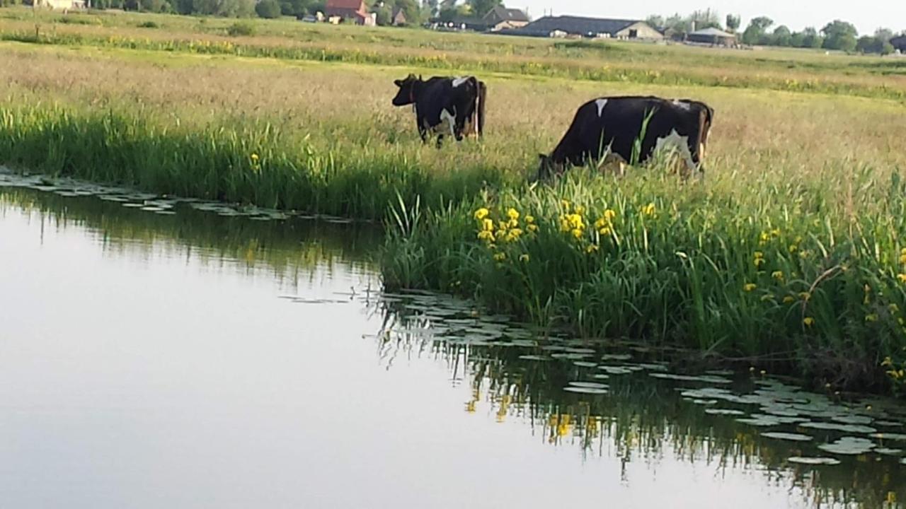 Het Kraaienbosch Zegveld Exterior foto