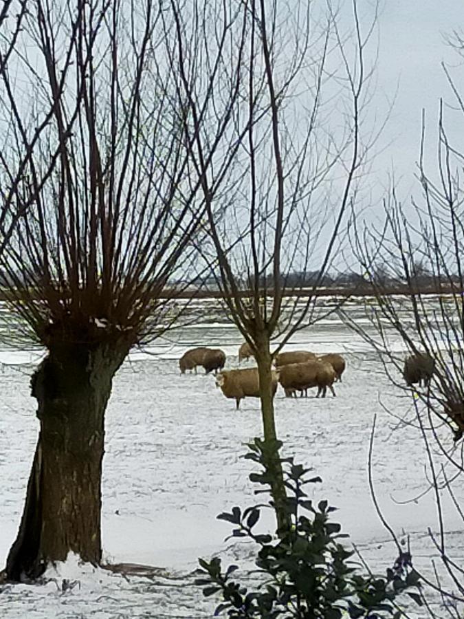 Het Kraaienbosch Zegveld Exterior foto